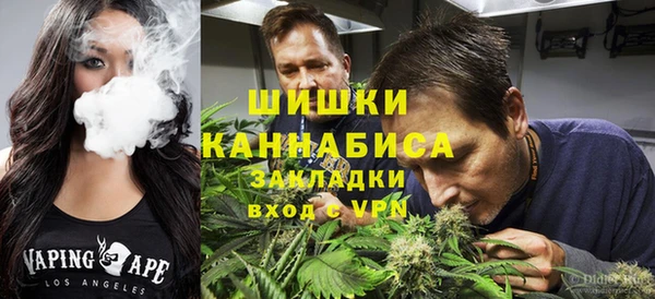 Альфа ПВП Алзамай