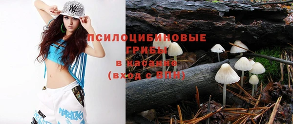 Альфа ПВП Алзамай